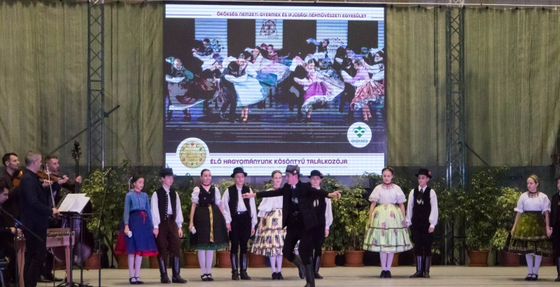Kösöntyű 2024,02,04,-0054