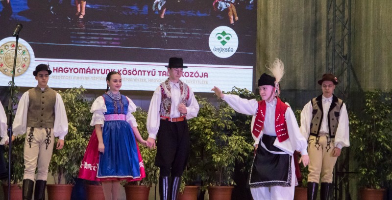 Kösöntyű 2024,02,04,-0148