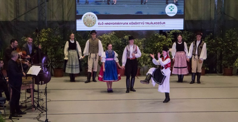 Kösöntyű 2024,02,04,-0156