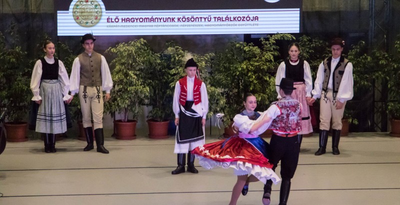 Kösöntyű 2024,02,04,-0166